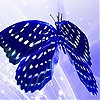 Jeu Blue butterfly slide puzzle en plein ecran