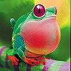 Jeu Fat red frog slide puzzle en plein ecran