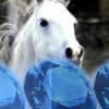 Jeu Hidden Gemstones: Horses 2 en plein ecran