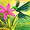 Jeu Hummingbird in the garden slide puzzle en plein ecran