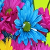 Jeu Jigsaw: Bright Flowers en plein ecran