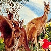 Jeu Kangaroos in the garden puzzle en plein ecran