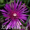Jeu Kingdom of the flowers: Purple beauty en plein ecran