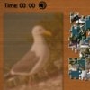 Jeu Puzzle Mania – Seagull en plein ecran