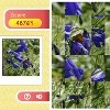Jeu Row Puzzle – Flowers en plein ecran
