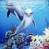 Jeu Sea and dolphins puzzle en plein ecran