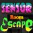 Sensor Room Escape