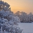 Jigsaw: Winter Landscape