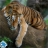 Tiger On Tree Jigsaw