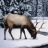 Winter Stag Jigsaw Puzzle