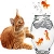 Jeu Fishes and cat slide puzzle