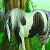 Jeu Horse in the garden slide puzzle