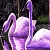 Jeu Purple swans in the lake puzzle