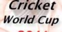 Jeu Cricket World Cup 2011