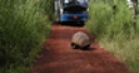 Jeu Jigsaw: Tortoise Road