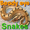 Jeu Beady Eye – Snakes en plein ecran
