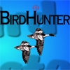 Jeu Bird Blaster Hunter en plein ecran