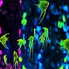 Jeu Bright colorful fishes slide puzzle en plein ecran