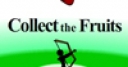 Jeu Collect_the_Fruits