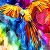 Jeu Colorful woods parrot slide puzzle
