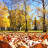 Crunchy Leaves in Fall Jigsaw Puzzle