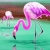 Jeu Fantastic flamingos in the lake puzzle