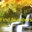 Find Numbers – Sea & Falls