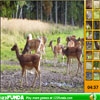 Jeu Find The Spots – Deer en plein ecran