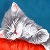 Jeu Gray sleepy kitty slide puzzle