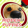 Jeu Hidden Puppies en plein ecran