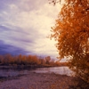 Jeu Jigsaw: Autumn Sunset en plein ecran