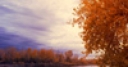 Jeu Jigsaw: Autumn Sunset