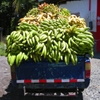 Jeu Jigsaw: Banana Truck en plein ecran