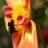 Jigsaw: Bee and Flower