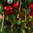 Jigsaw: Christmas Tree Closeup