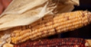Jeu Jigsaw: Corn Cobs