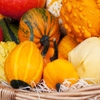 Jeu Jigsaw: Fall Harvest en plein ecran