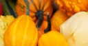 Jeu Jigsaw: Fall Harvest