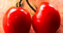 Jeu Jigsaw: Tomatoes