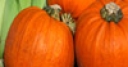 Jeu Jigsaw: Pumpkins