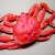Jeu Jigsaw: Red Crab