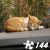 Jeu Jigsaw: Sleepy Cat