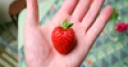 Jeu Jigsaw: Strawberry Hand