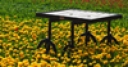 Jeu Jigsaw: Table In Tulip Field
