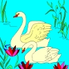 Jeu Kid’s coloring: Two Swans en plein ecran