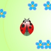 Jeu Ladybug and flowers en plein ecran