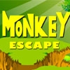 Jeu Monkey Escape en plein ecran