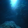 Jeu Pachiflash: Deep Sea en plein ecran