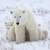 Jeu Polar Bear Mother & Baby Slider Puzzle