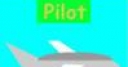 Jeu professional pilot